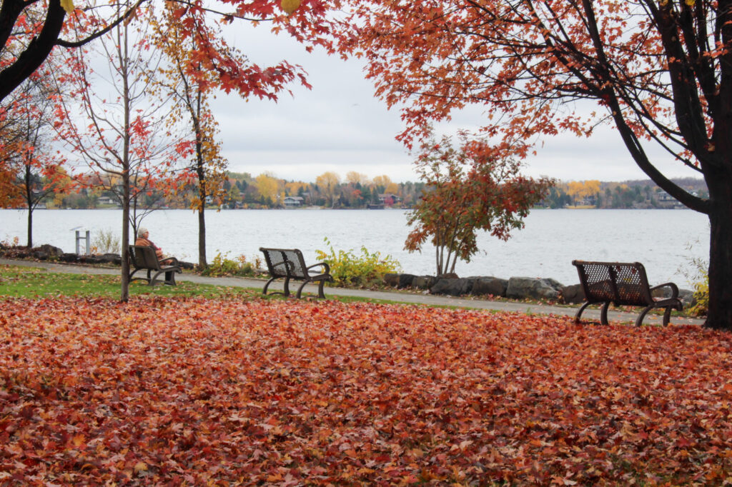 Fall in Bell Park, Sudbury, Ontario. 